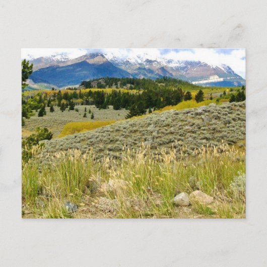 Postkarte von Montana (Vorderseite)