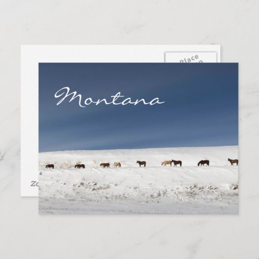 Postkarte von Montana (Vorne/Hinten)
