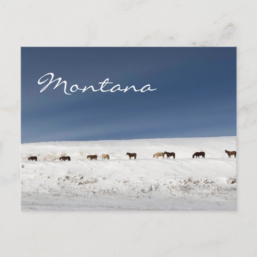 Postkarte von Montana (Vorderseite)