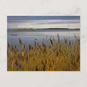 Postkarte von Ostrobothnia CC0076