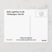 Postkarte von Sally Lightfoot (Rückseite)