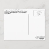 Postkarte - Waldweg (Rückseite)