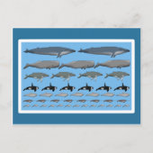 Postkarte "Wale" (Vorderseite)