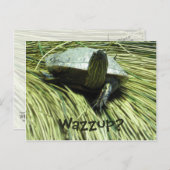 Postkarte Wazzup (Vorne/Hinten)