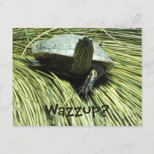 Postkarte Wazzup (Vorderseite)