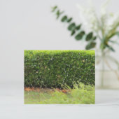 Postkarte - Web der Natur (Stehend Vorderseite)