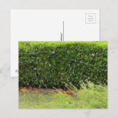 Postkarte - Web der Natur (Vorne/Hinten)