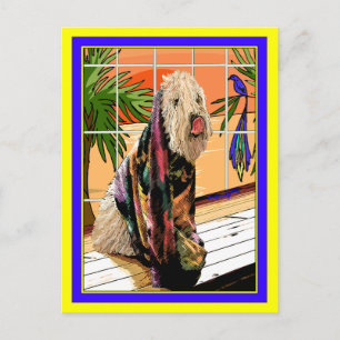 Postkarte: Weichkratze, die am Wellness-Center gef Postkarte