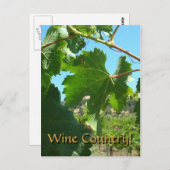 Postkarte - Weinland (Vorne/Hinten)