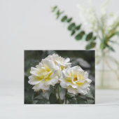 Postkarte Weiße Rose Fotografie (Stehend Vorderseite)