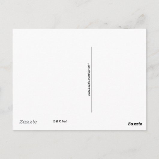 Postkarte - Weißer Alpaca (Rückseite)