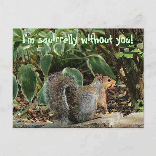 Postkarte, wenn jemand Vermisst ist Postkarte (Vorderseite)