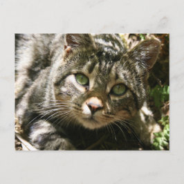 Postkarte wiederherstellen