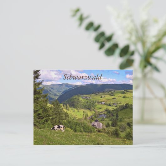 Postkarte: Wiesen und Kuh mit Panoramaait Postkarte (Stehend Vorderseite)