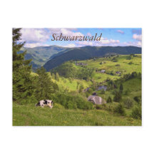 Postkarte: Wiesen und Kuh mit Panoramaait