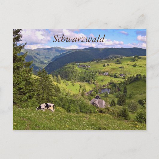 Postkarte: Wiesen und Kuh mit Panoramaait Postkarte (Vorderseite)