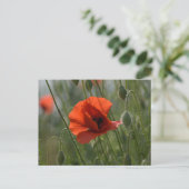 Postkarte - Wilde rote Mohnblume (Stehend Vorderseite)