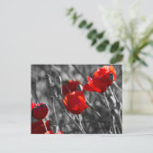 Postkarte - Wilde rote Mohnblumen (Stehend Vorderseite)