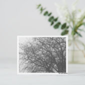 Postkarte - Winterbaum (Stehend Vorderseite)