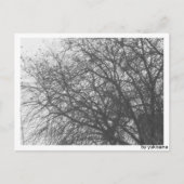 Postkarte - Winterbaum (Vorderseite)