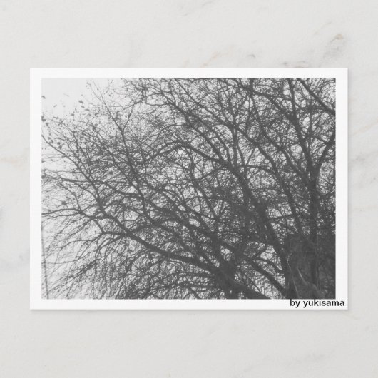 Postkarte - Winterbaum (Vorderseite)