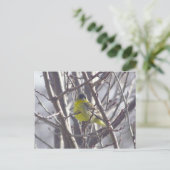 Postkarte - Wintervogel (Stehend Vorderseite)