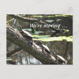 Postkarte - Wir bewegen uns ... Turtles