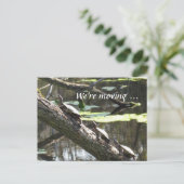 Postkarte - Wir bewegen uns ... Turtles (Stehend Vorderseite)