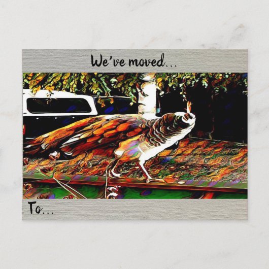 Postkarte "Wir haben uns bewegt" (Vorderseite)