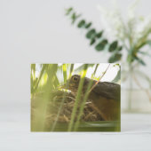 Postkarte - wissen | Nº11 (Stehend Vorderseite)