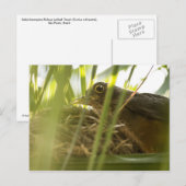 Postkarte - wissen | Nº11 (Vorne/Hinten)