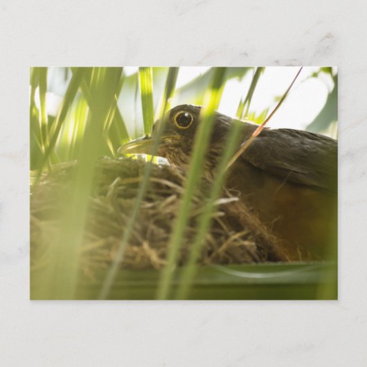 Postkarte - wissen | Nº11 (Vorderseite)