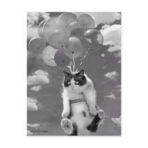 Postkarte: Witzige Katze, die mit Balloons fliegt