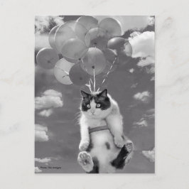 Postkarte: Witzige Katze, die mit Balloons fliegt Postkarte