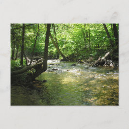 Postkarte "Woodland Stream"