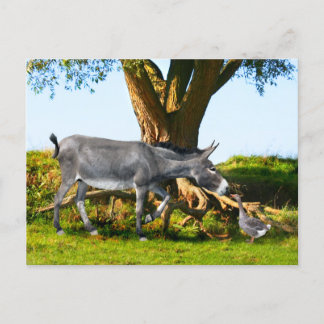 Postkarte "Young Eno & Henri"