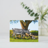 Postkarte "Young Eno & Henri" (Stehend Vorderseite)