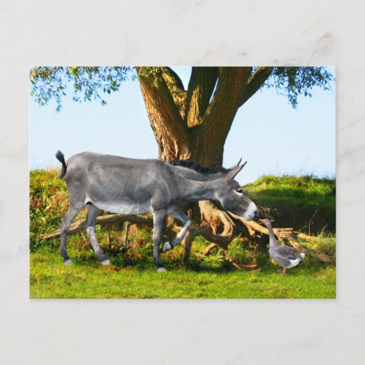 Postkarte "Young Eno & Henri" (Vorderseite)