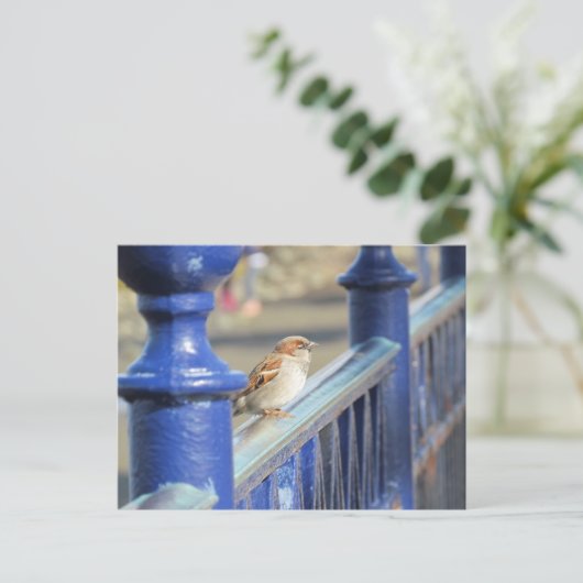 Postkarte - Zaun (Stehend Vorderseite)