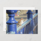 Postkarte - Zaun (Vorne/Hinten)