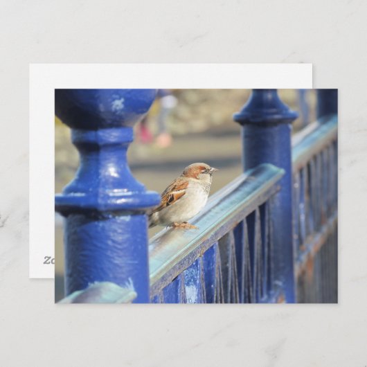 Postkarte - Zaun (Vorne/Hinten)