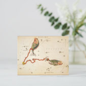 Postkarte "Zodiac Sign: Pisces" (Stehend Vorderseite)