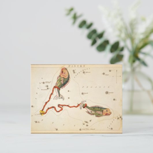 Postkarte "Zodiac Sign: Pisces" (Stehend Vorderseite)