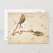 Postkarte "Zodiac Sign: Pisces" (Vorne/Hinten)