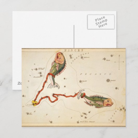 Postkarte "Zodiac Sign: Pisces" (Vorne/Hinten)