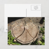 Postkarte zum Split Herz (Vorne/Hinten)