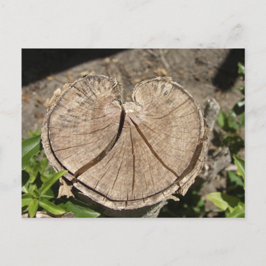 Postkarte zum Split Herz (Vorderseite)