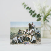 Postkarte zur Darstellung von Cowboys beim Spielen (Stehend Vorderseite)