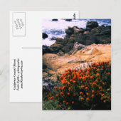 Postkarte zur kalifornischen Küste (Vorne/Hinten)