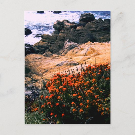 Postkarte zur kalifornischen Küste (Vorderseite)